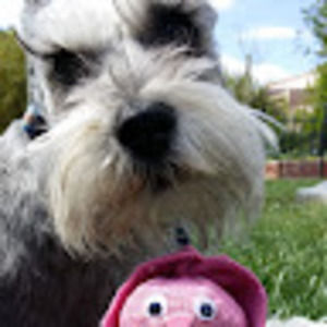 Meet your Posher, Heidi